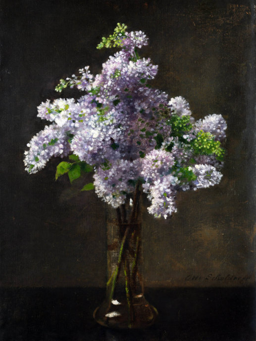 精美花图片大全,好看鲜花图片手绘