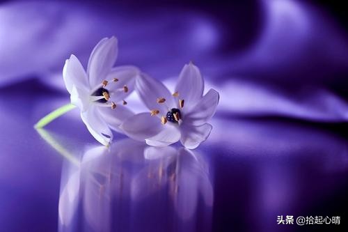 越有层次的女人越不会发朋友圈,过的好的女人不喜欢发朋友圈