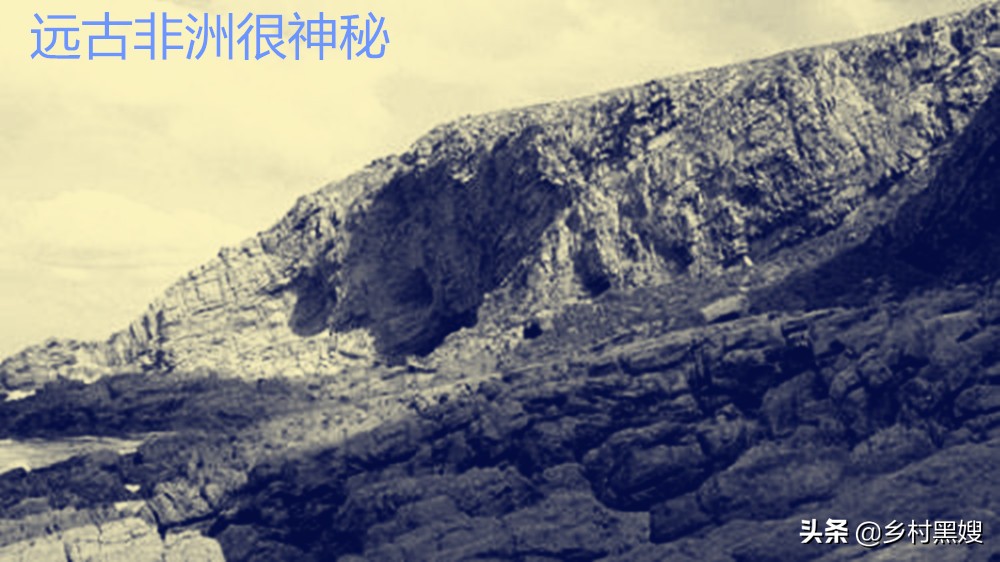 高粱的缺点,高粱为什么有点苦