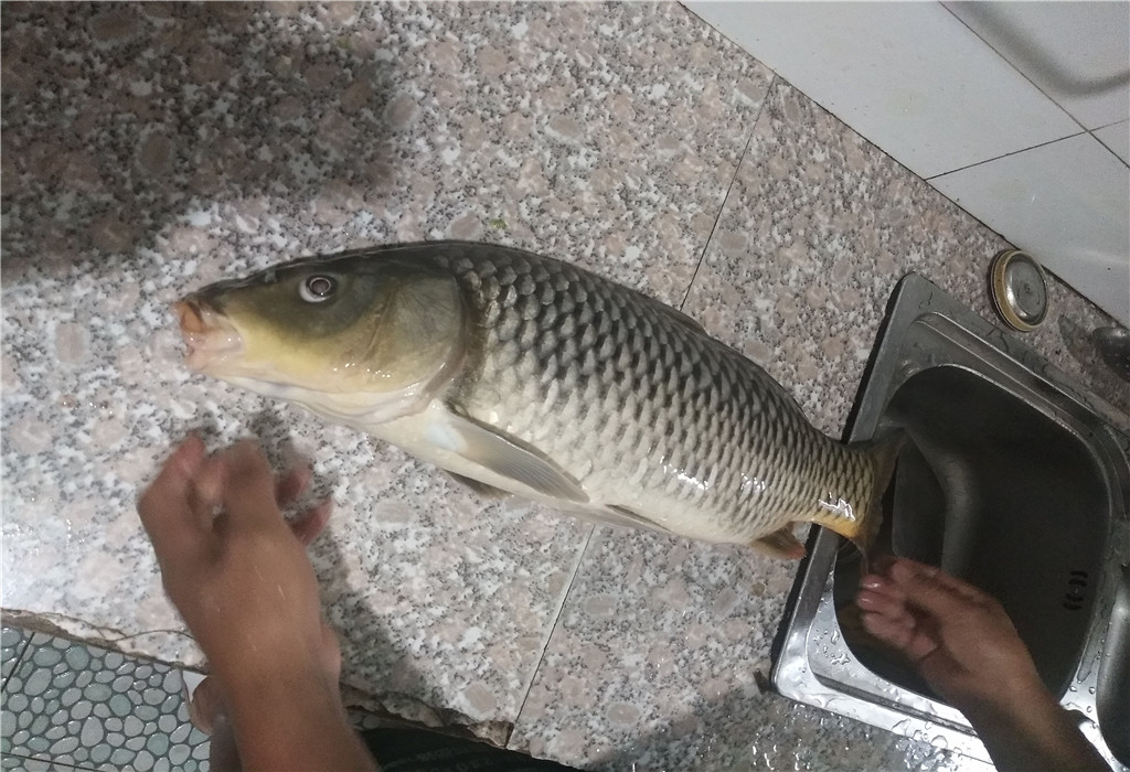 钓鱼大师们推荐几款优质钓鱼小药,钓鱼小药一瓶搞定哪个牌子好用