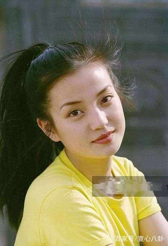 赵薇何许人也,赵薇事件黄晓明陈坤的表现