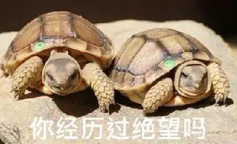 贴吧里的奇葩帖子,贴吧奇葩问题