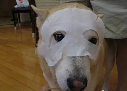 十大坑化妆品,美妆品牌十大坑