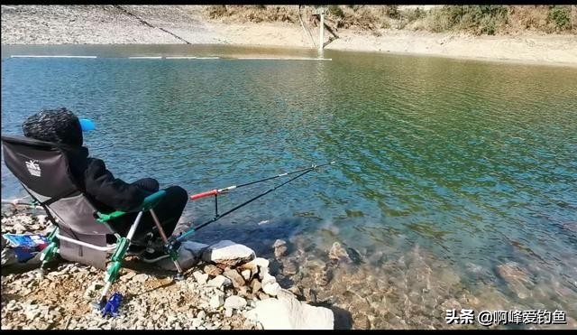 为何它能有这么高的价值？市场售价近百元一斤，重唇鱼珍贵在哪？