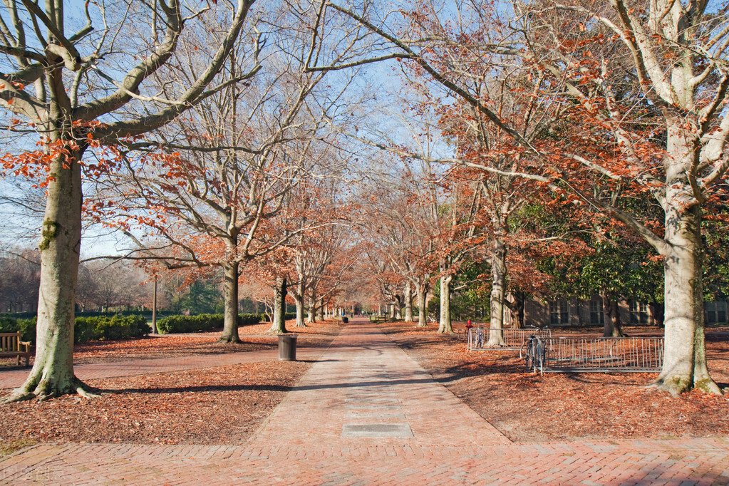 美国一共有多少常春藤大学,美国常春藤八大名校有哪几所大学