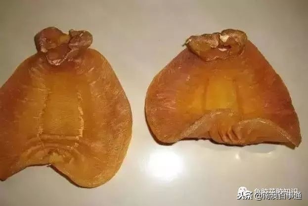 涨知识！鱼胶种类大全，不看亏大了！