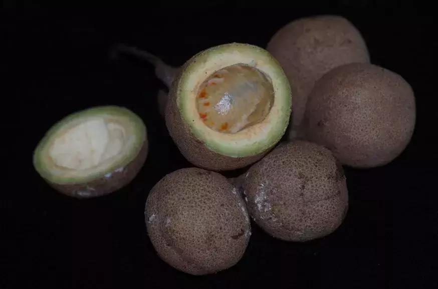 他的工作是厨师的英文,他的工作是什么英文句子