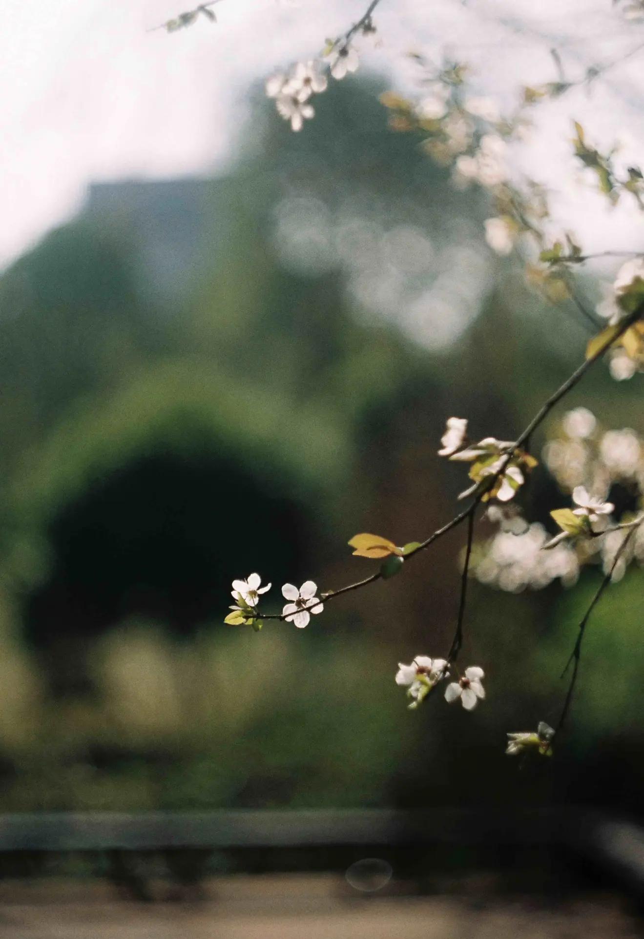 是谁发明了彩色相机,康泰时相机发展史