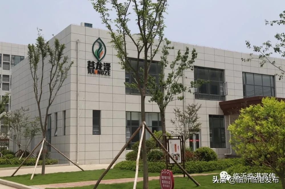 临港集团发展历程图,临港企业发展前景