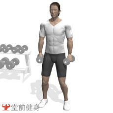 一周4练健身计划,初级哑铃锻炼一周训练计划