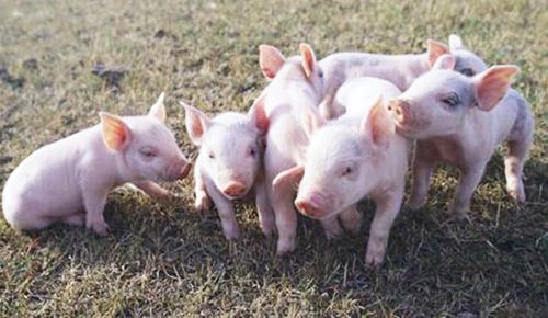 不如，这次来这儿重新定义一下“周末”怎么样？