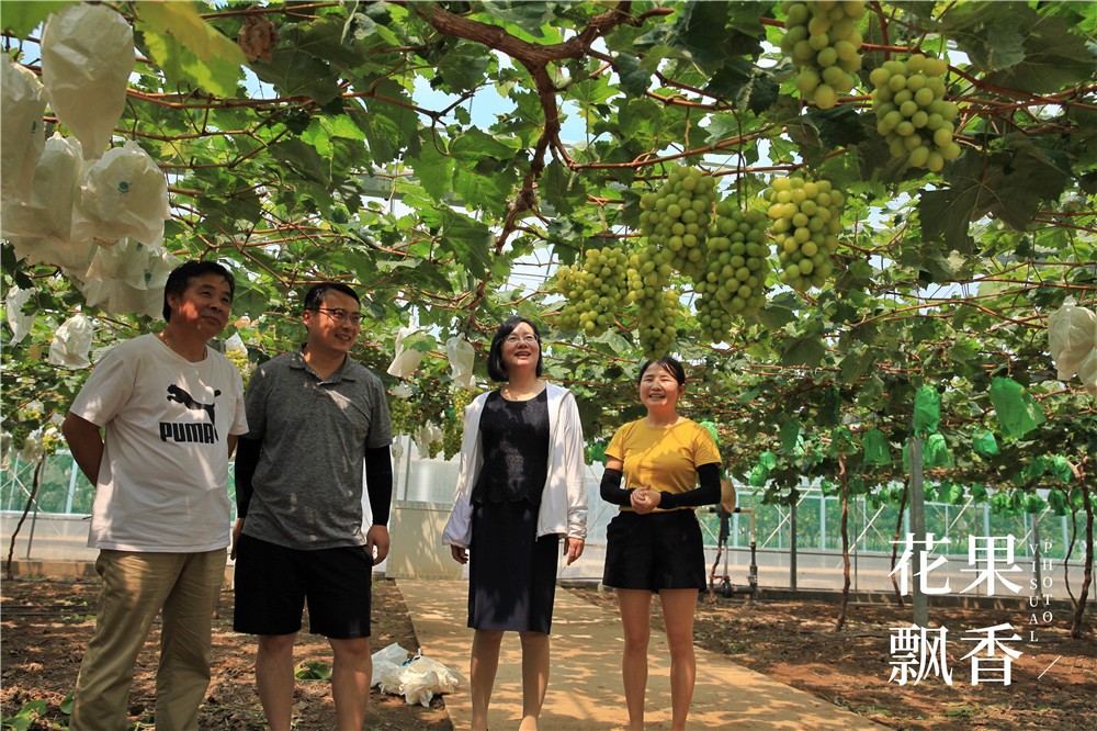 有机农产品的意义,有机的意义