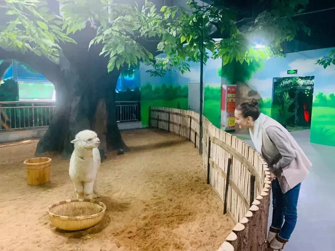 临沂极地海洋世界五一特惠,临沂极地海洋世界门票多少钱