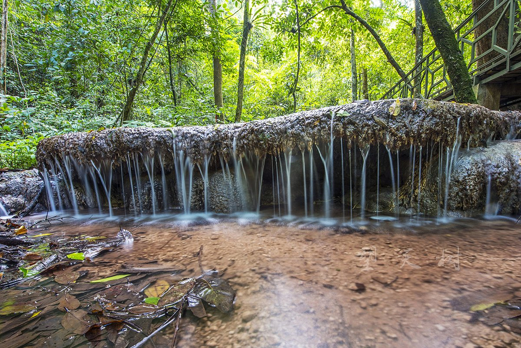 西双版纳泼水节野象谷,西双版纳旅游野象谷全攻略