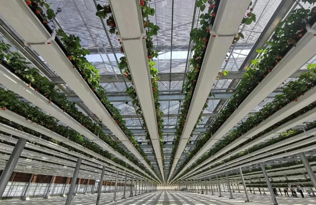 厦门特色旅游小镇,厦门两镇上榜省全域生态旅游小镇