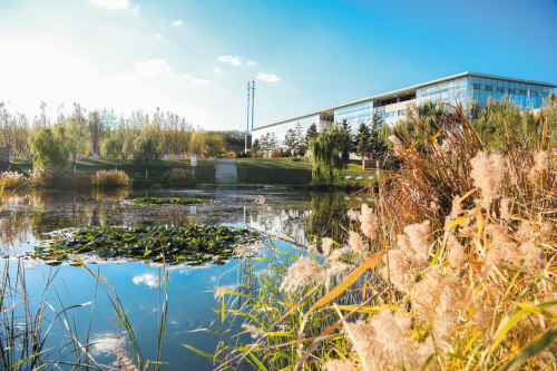 大连高考志愿填报机构哪家好,2020大连中考志愿报几所一般高中