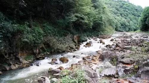 昆明周边适合露营的森林,昆明附近露营风景好