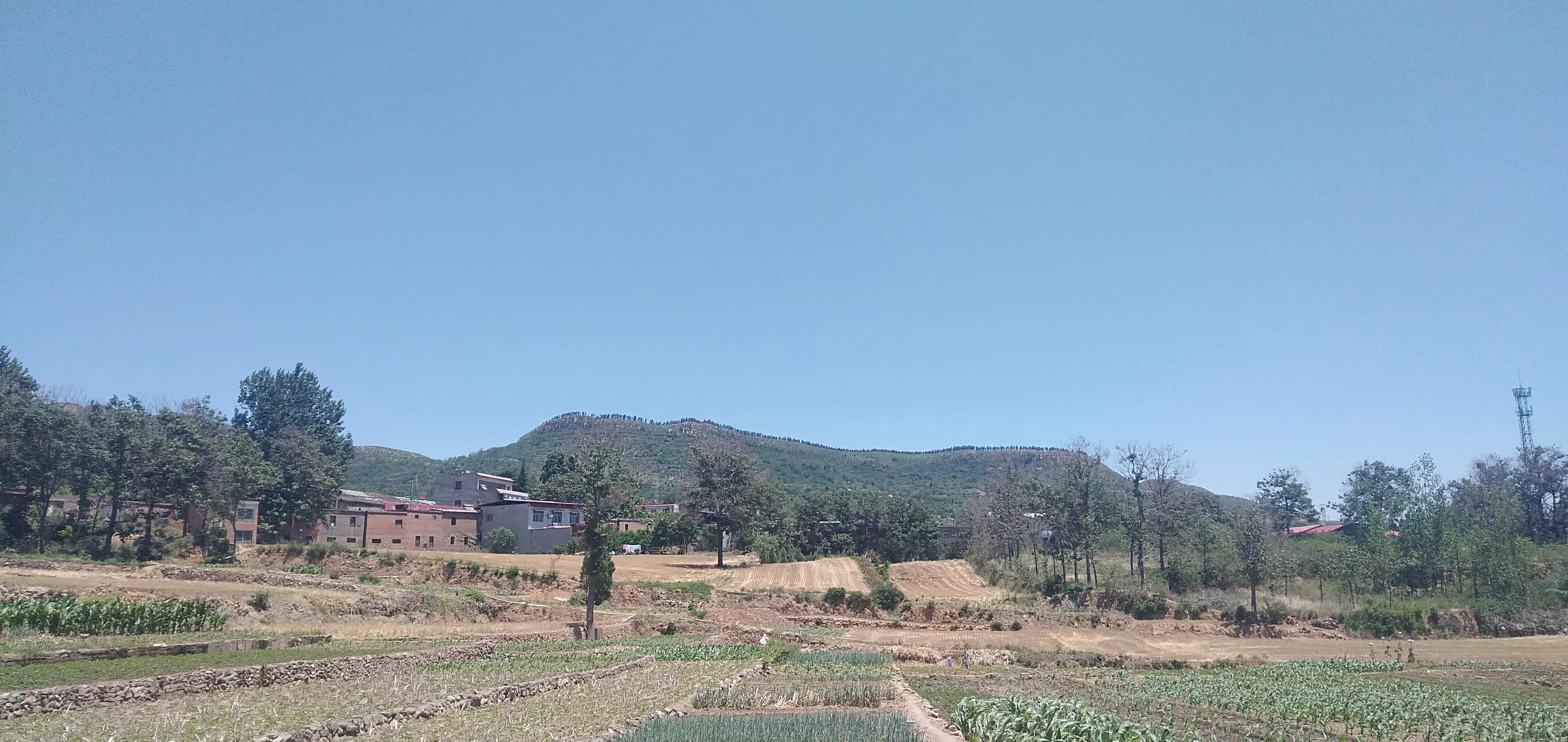 倔犟拼音,倔犟小太阳