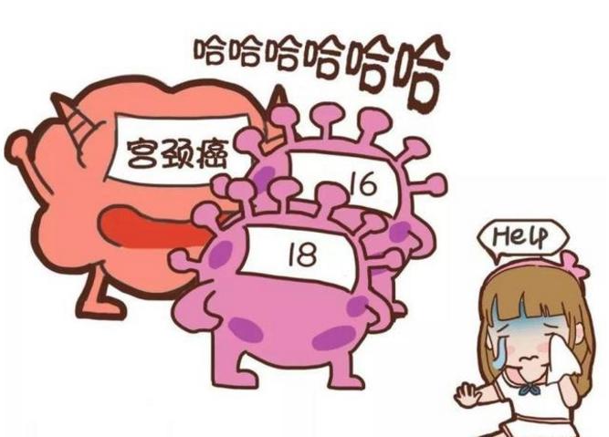 TCT、HPV报告单怎么看？一文教你读懂宫颈癌筛查结果