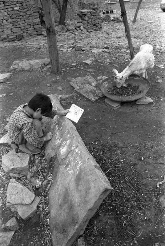 希望工程30周年纪录片,希望工程25周年视频