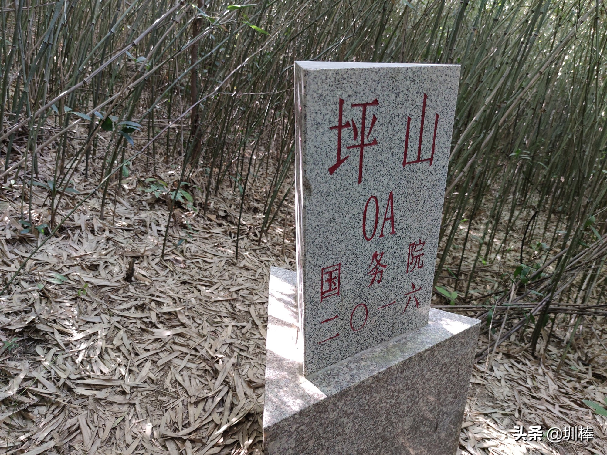 爬深圳山,爬深圳莲花山公园