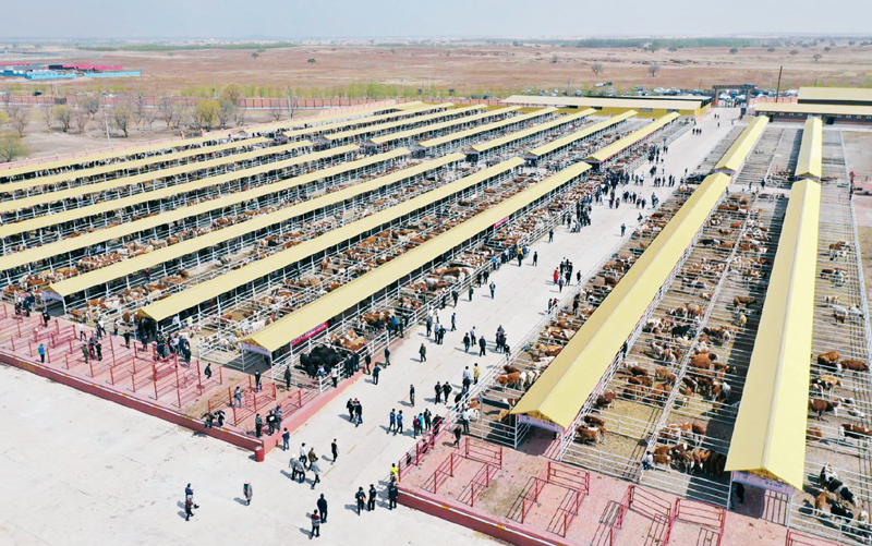 走向我们的小康生活2020年,走向我们的小康生活400字作文