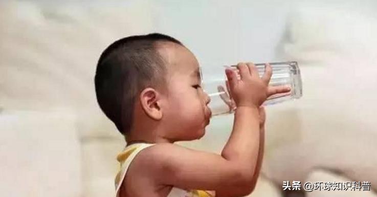 越南的奇闻奇事,越南趣闻