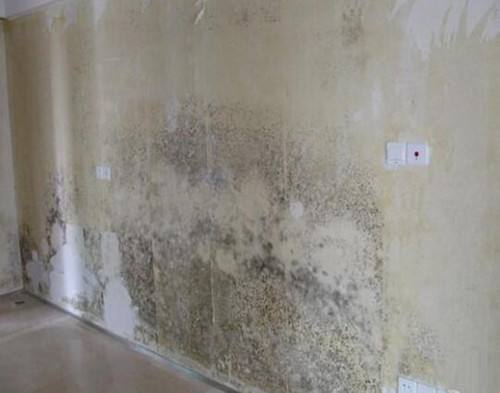 家里开关暗盒坏了怎么修?教你一招轻松搞定,根本不用砸墙换新