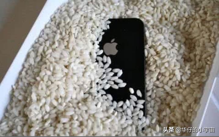 iphone手机掉进水怎么办,iphone掉水里了怎么找