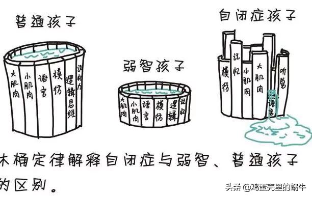 关于儿童自闭症的相关知识,自闭症相关的专业术语