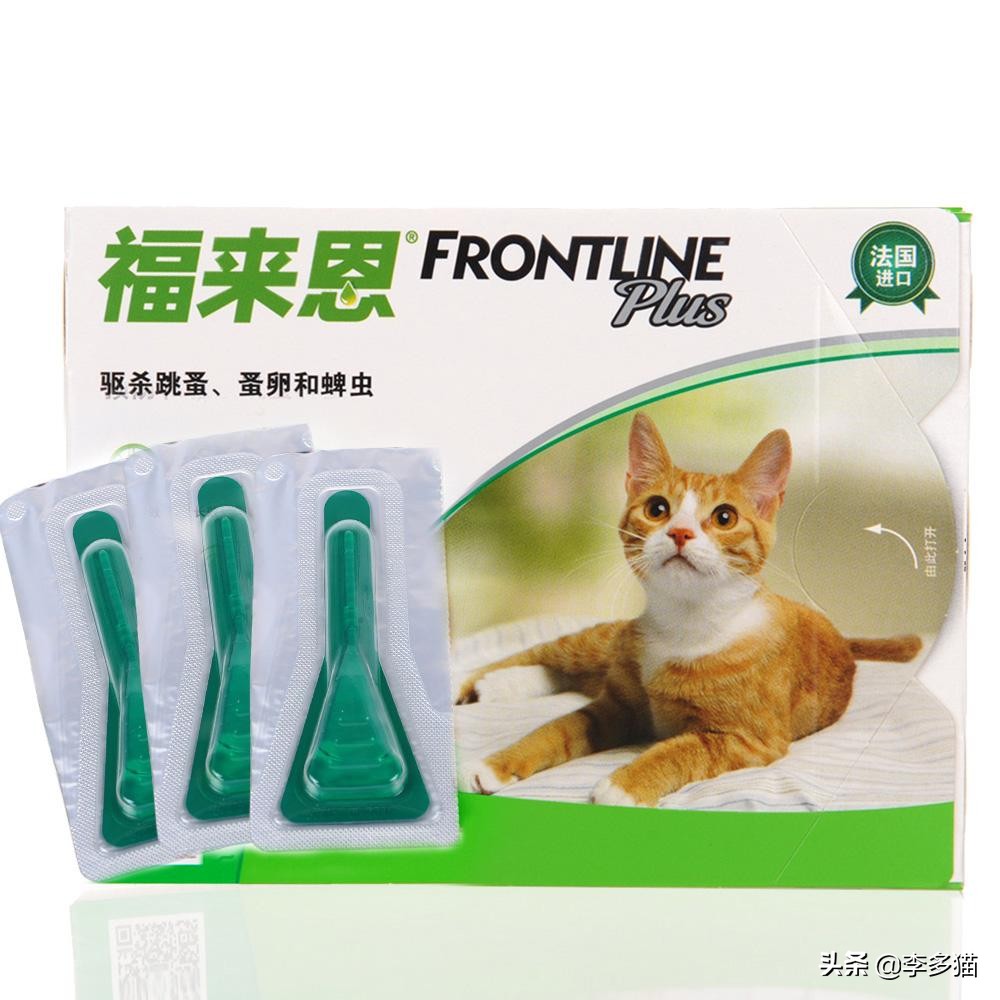 新手养猫必看一招搞定猫咪驱虫,养宠须知这份猫咪驱虫指南请收好