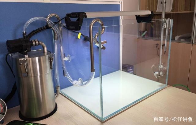 侧滤鱼缸一周就浑水怎么办,下滤缸为什么会浑水