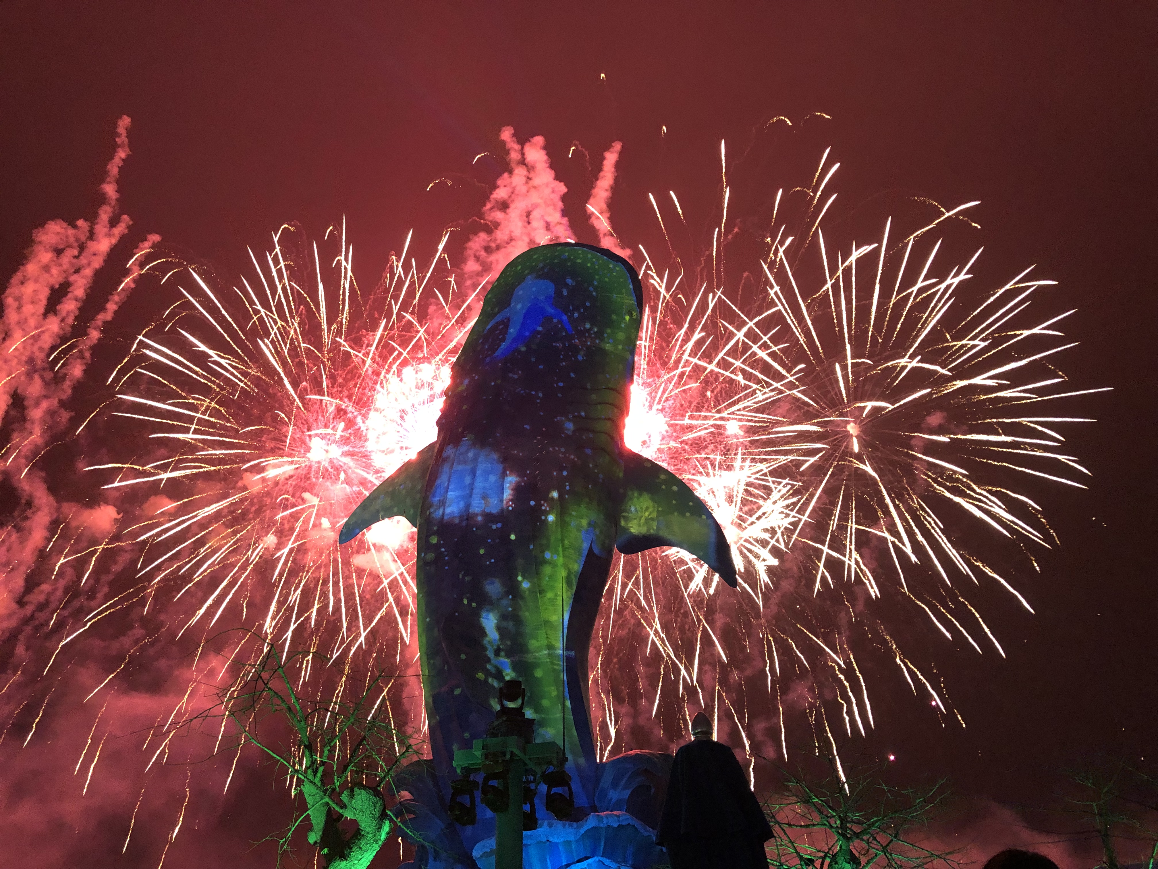 寒假带孩子去长隆玩什么,长隆寒假旅游攻略