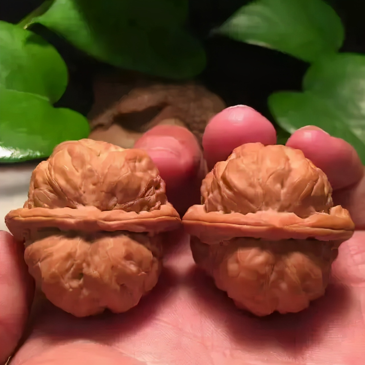 怎么快速盘核桃又红又亮,核桃包浆上色玉化最快的方法