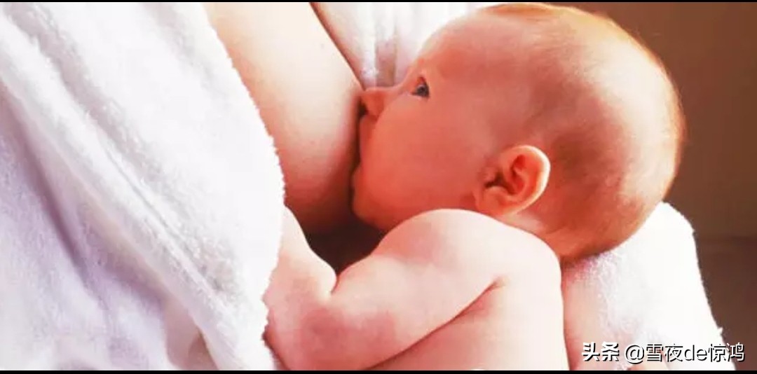 1500元可以直接喝到人乳，人乳的营养价值有那么高吗？