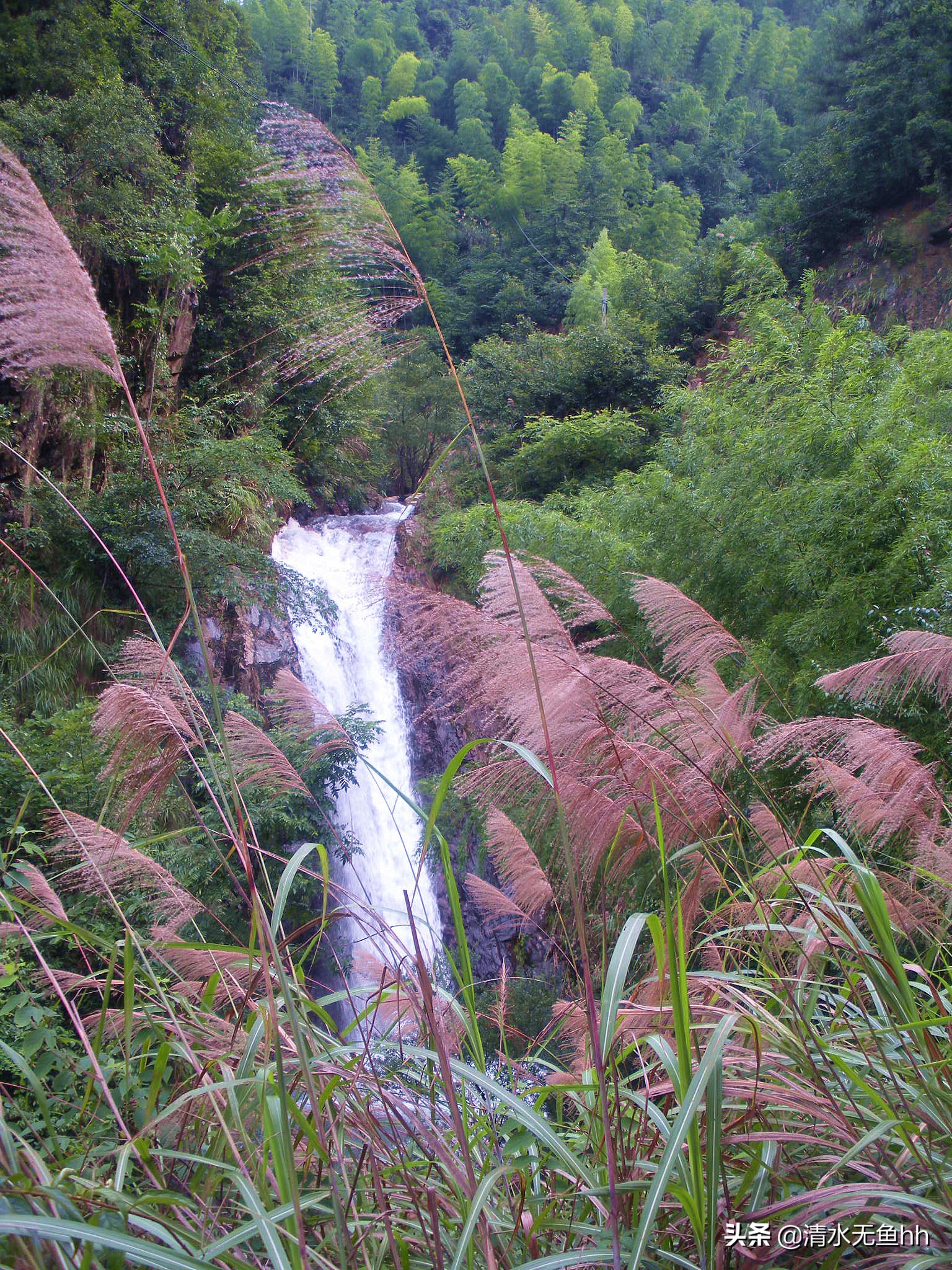 铜钹山九仙湖简介,铜钹山九仙湖几级景区