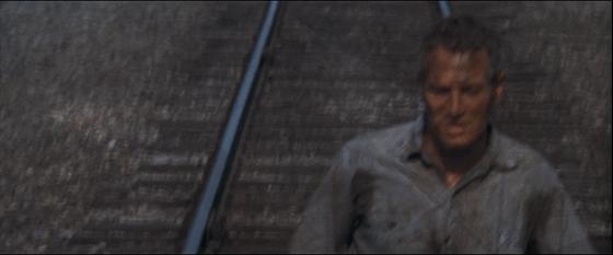 高分经典历届奥斯卡最佳电影,越狱2奥斯卡