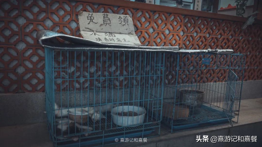 去厦门必须体验的六件事,送给第一次去厦门的五点建议