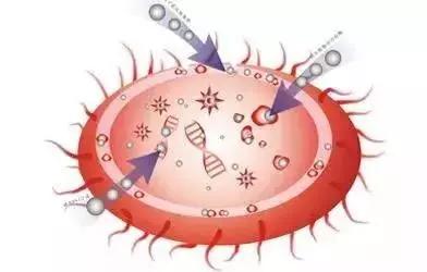 沈阳安琪外阴白斑瘙痒下的顽疾为什么外阴白斑夜间瘙痒更厉害