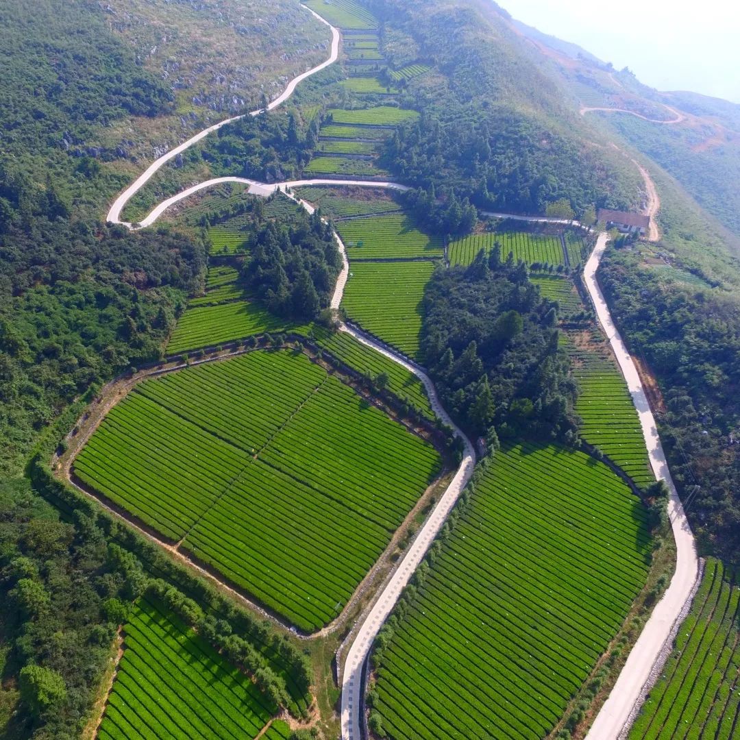 鑼楄竟璇磋尪,鑼楄竟