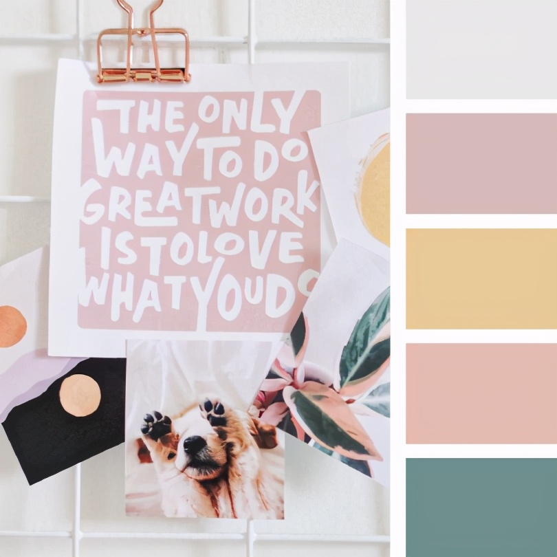 最佳紫色配色,柔和颜色搭配表及效果图片