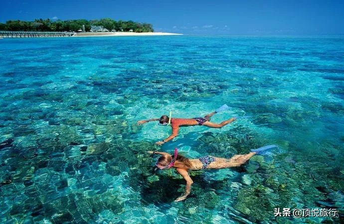 为什么澳大利亚被叫做土澳,为什么澳大利亚被称为土澳