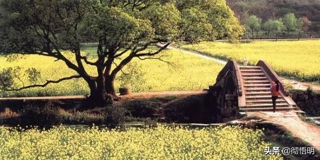 江苏旅游西山岛攻略图文,内湖洞庭西山岛