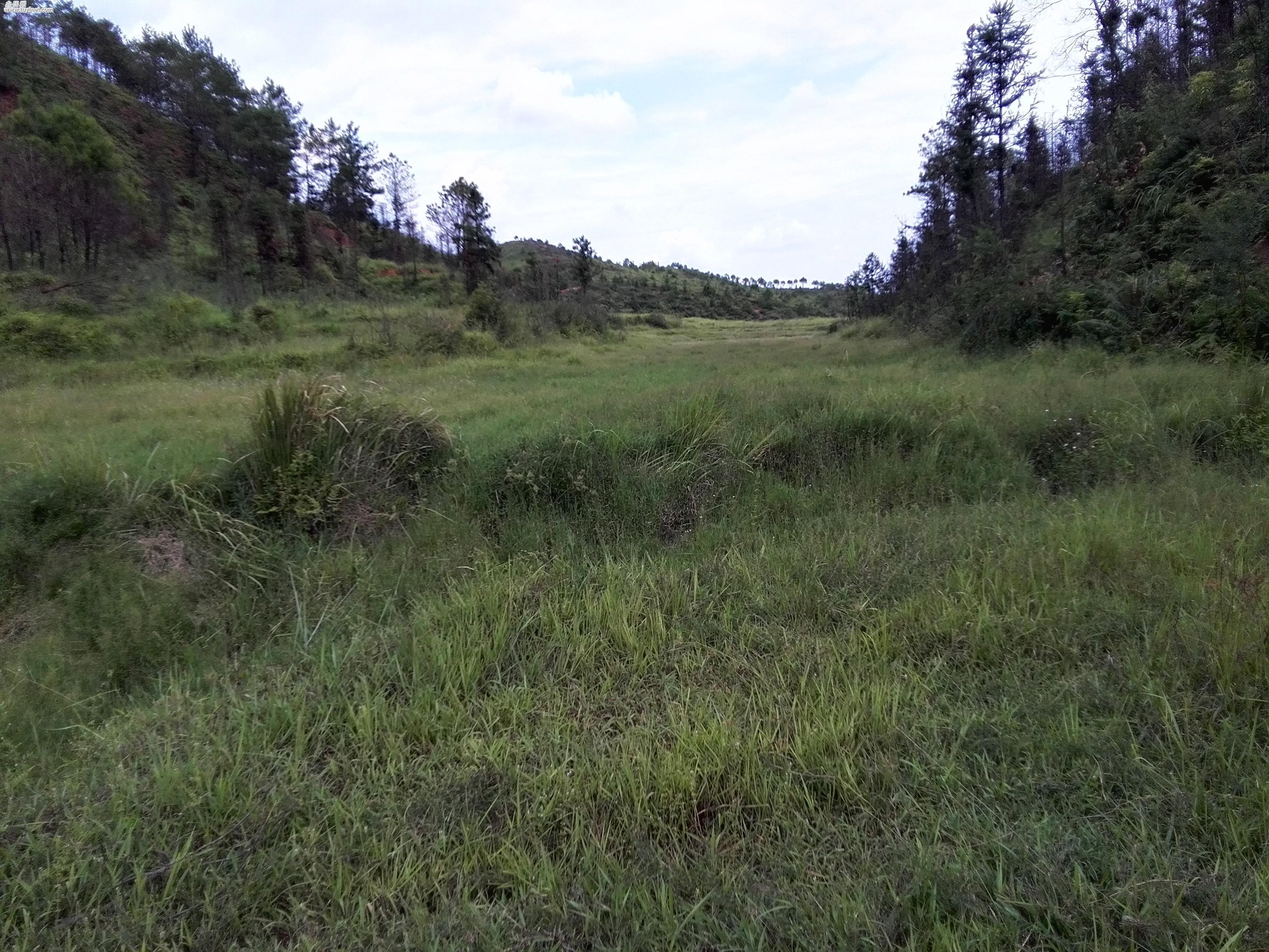 土地撂荒整治的建议,2020年农村土地撂荒解决对策