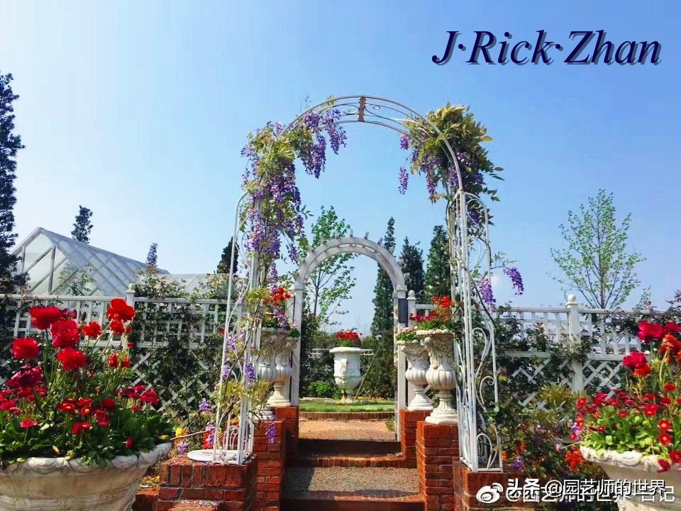 城市蔬菜园景观设计,蔬菜花园造型