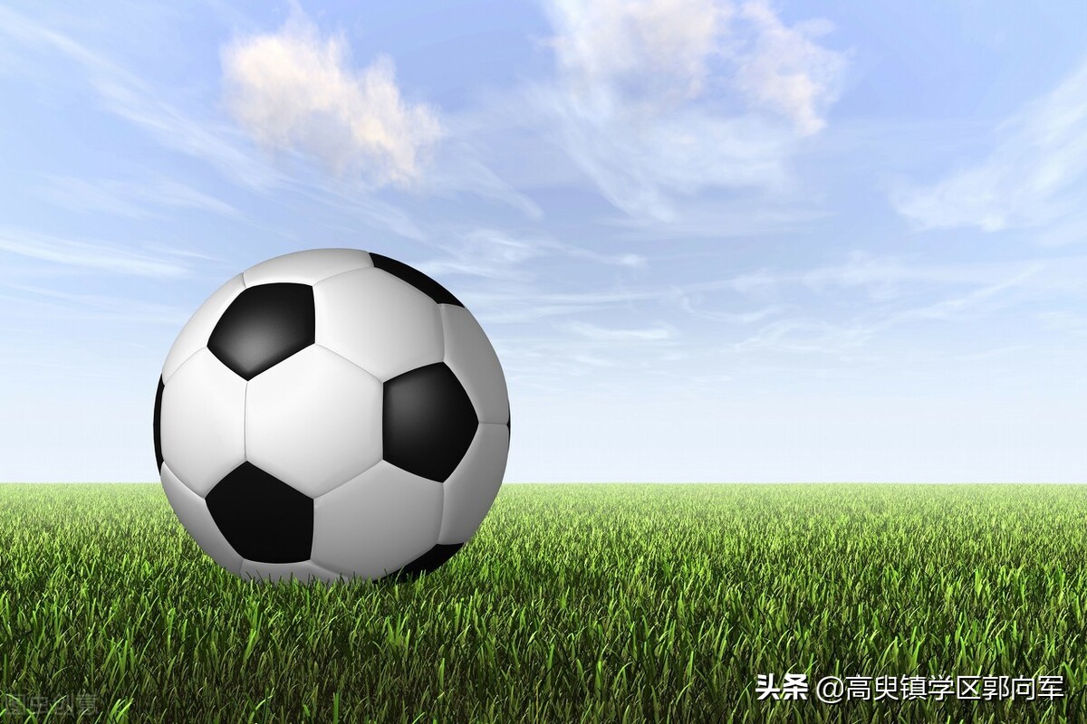 冀南新区兴善学校2018,冀南新区高臾镇兴善中心小学