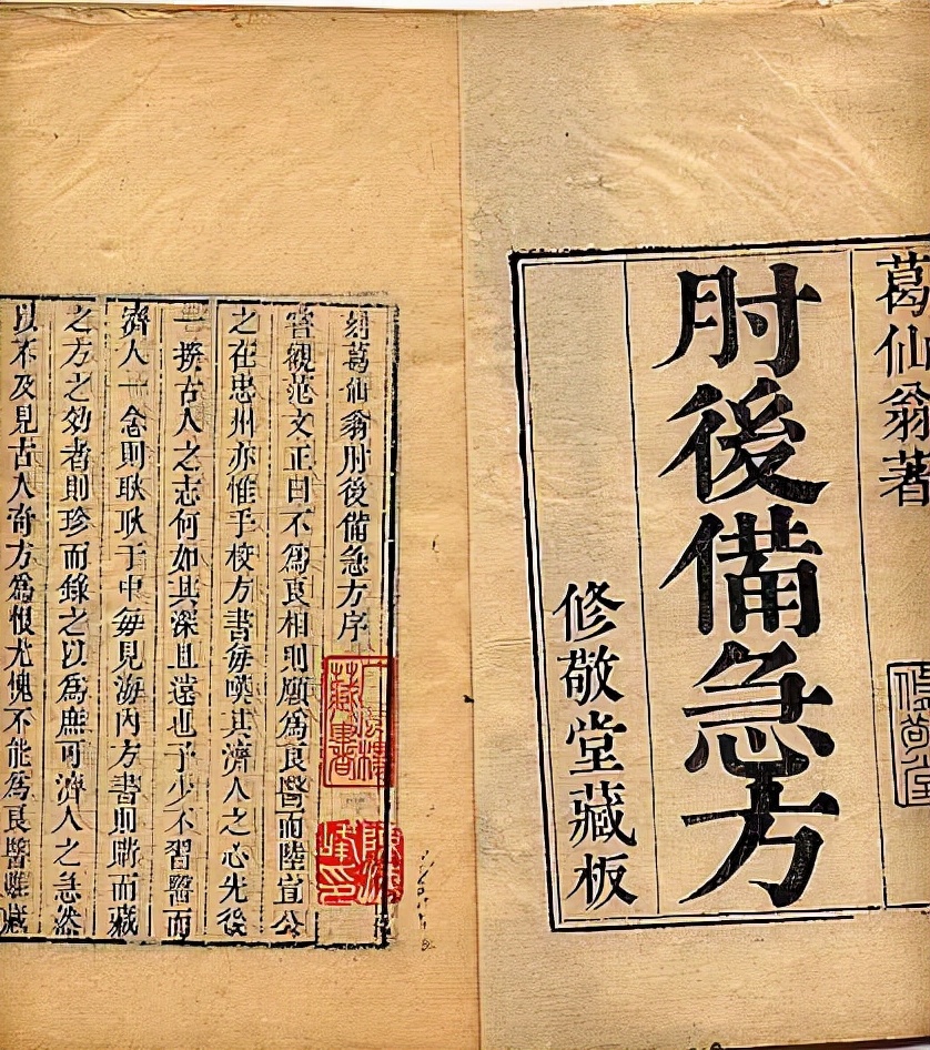 为什么狂犬病是100%的死亡率,为什么狂犬病的致死率是100%
