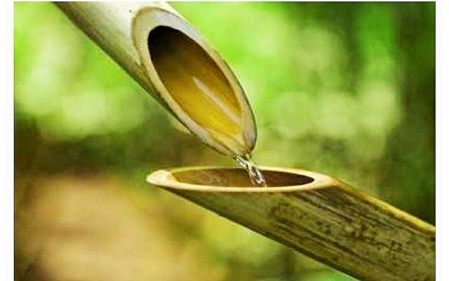 失落的百年致富圣经讲的是啥,失落的百年致富圣经哪本好