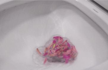 恒洁超旋风坐便器冲力测试,恒洁坐便器普通和超旋风的区别