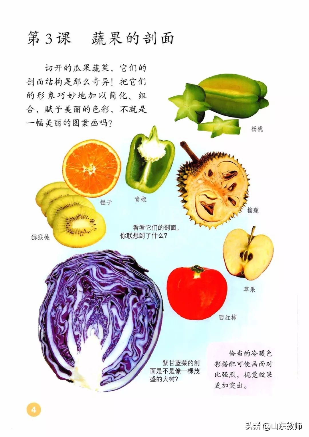 四年级上册美术课本全部图画,湘教版美术四年级上册电子版课本